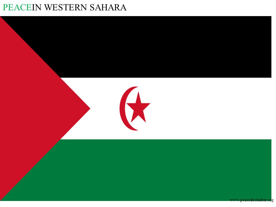 PEACEIN WESTERN SAHARA