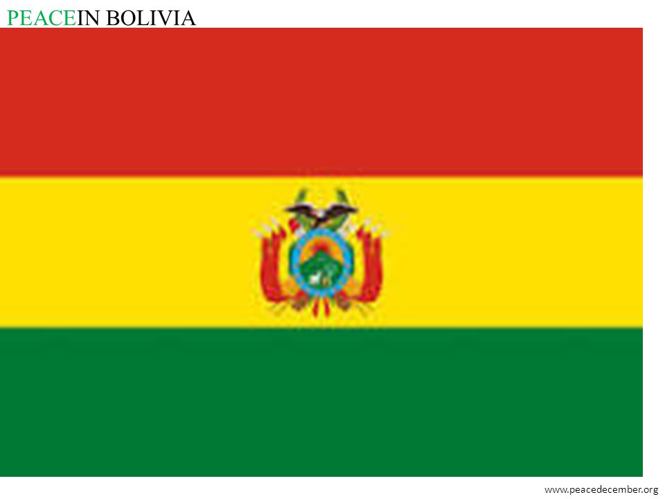 PEACEIN BOLIVIA