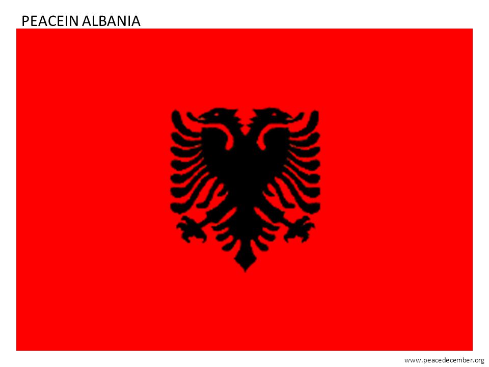PEACEIN ALBANIA