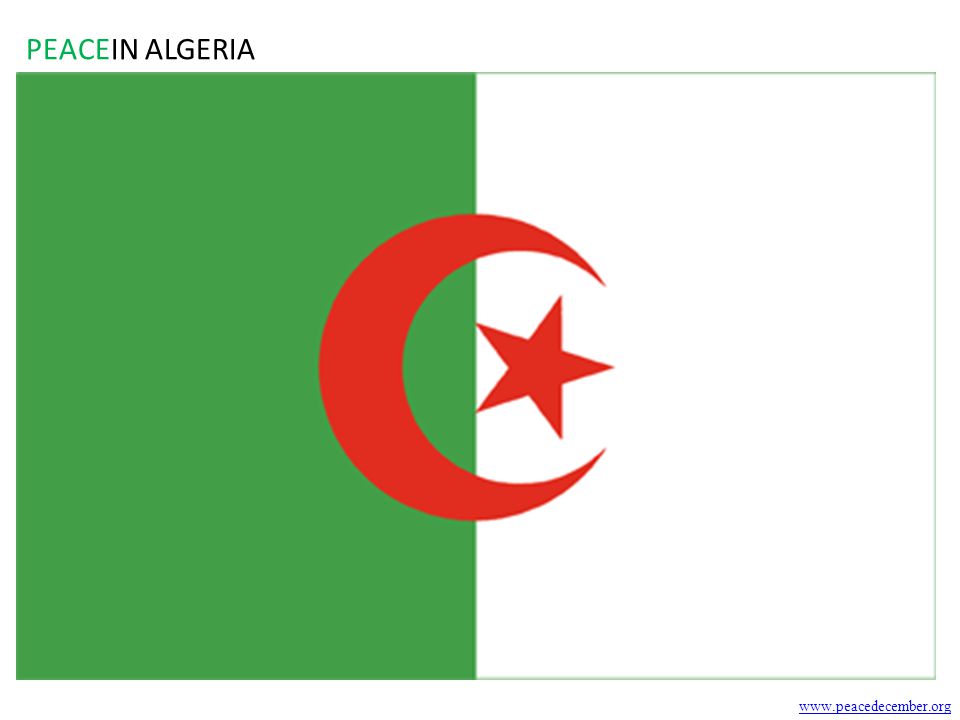 PEACEIN ALGERIA