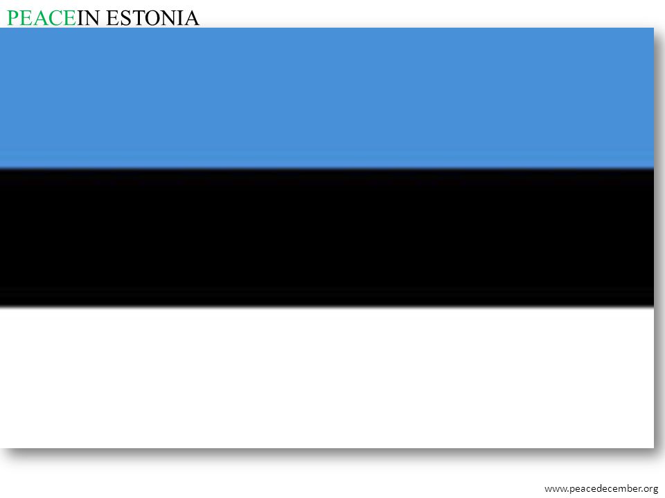 PEACEIN ESTONIA