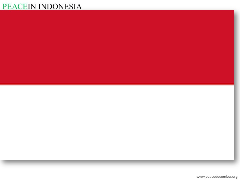 PEACEIN INDONESIA