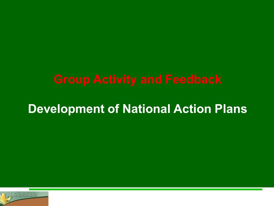 Towards Maputo – Annual Policy Dialogue 2009 Group Activity and Feedback Development of National Action Plans