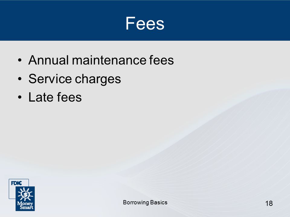 Borrowing Basics 18 Fees Annual maintenance fees Service charges Late fees