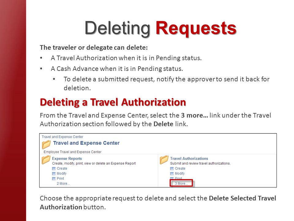 Deleting Requests The traveler or delegate can delete: A Travel Authorization when it is in Pending status.