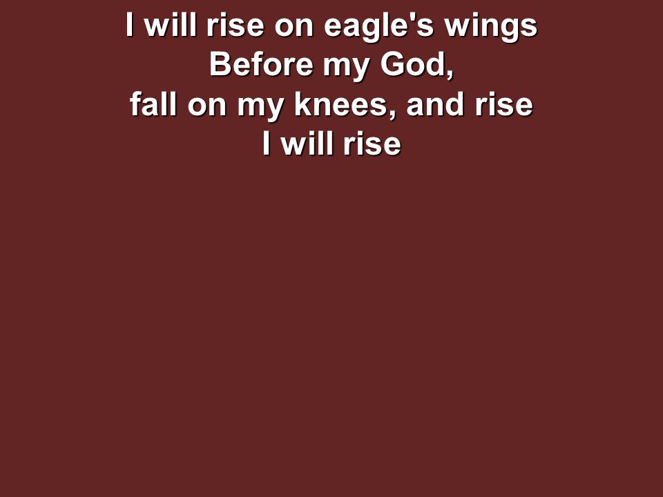 I will rise on eagle s wings Before my God, fall on my knees, and rise I will rise