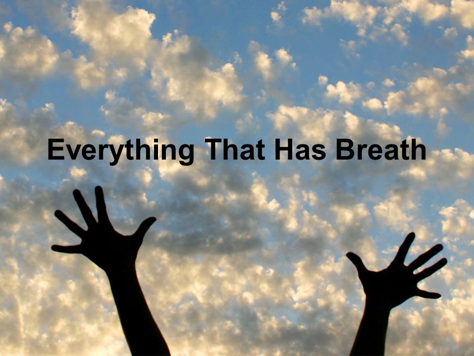 Everything That Has Breath