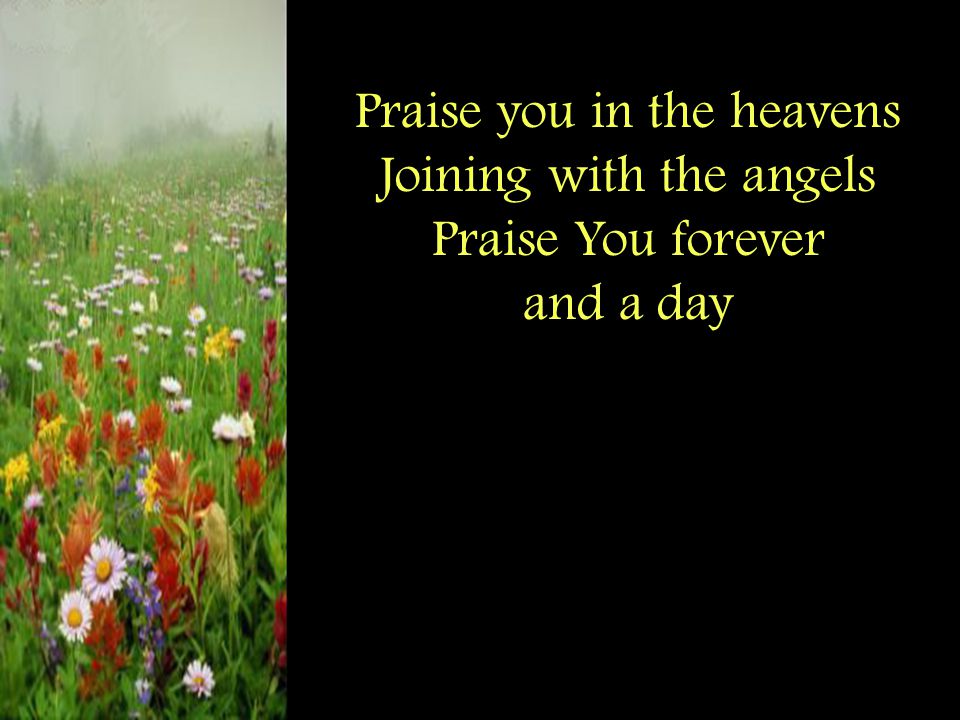 Praise you in the heavens Joining with the angels Praise You forever and a day