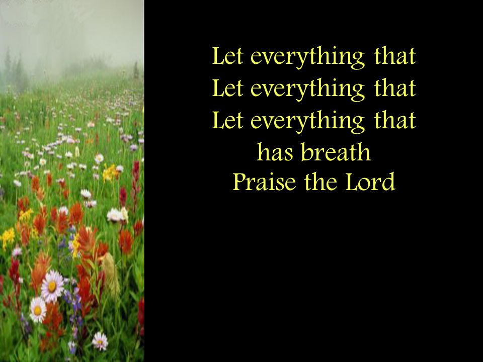 Let everything that has breath Praise the Lord