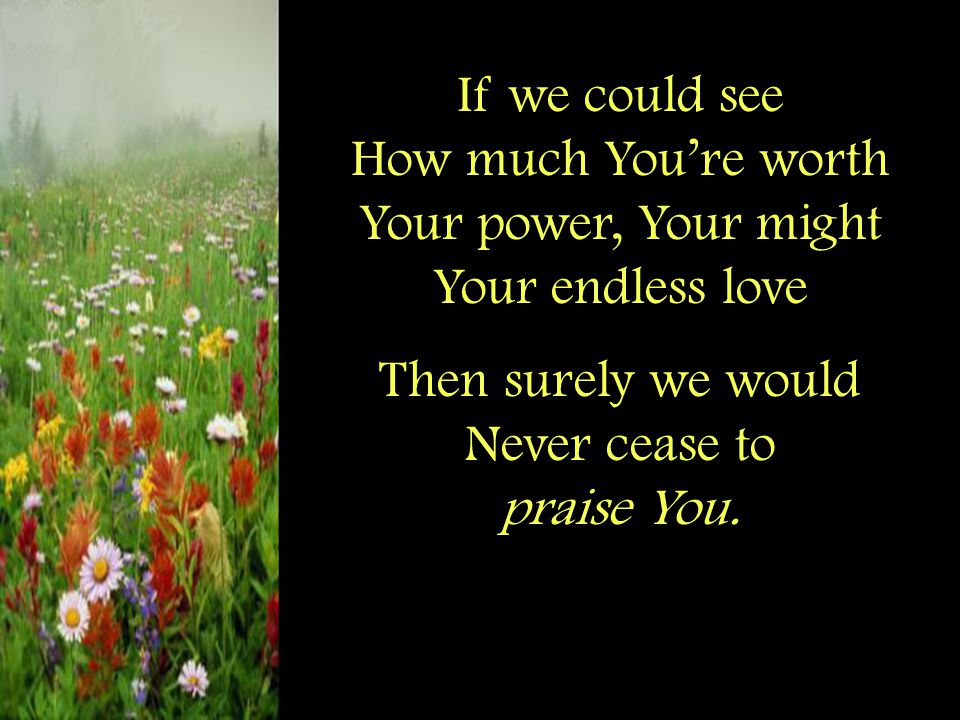 If we could see How much You’re worth Your power, Your might Your endless love Then surely we would Never cease to praise You.