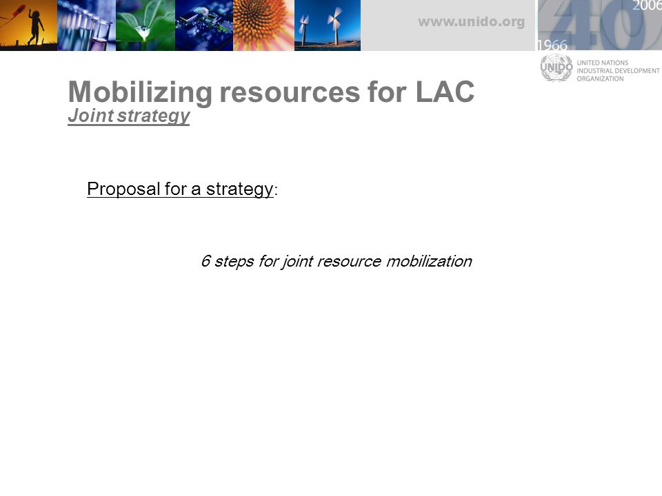 Mobilizing resources for LAC Joint strategy Proposal for a strategy : 6 steps for joint resource mobilization