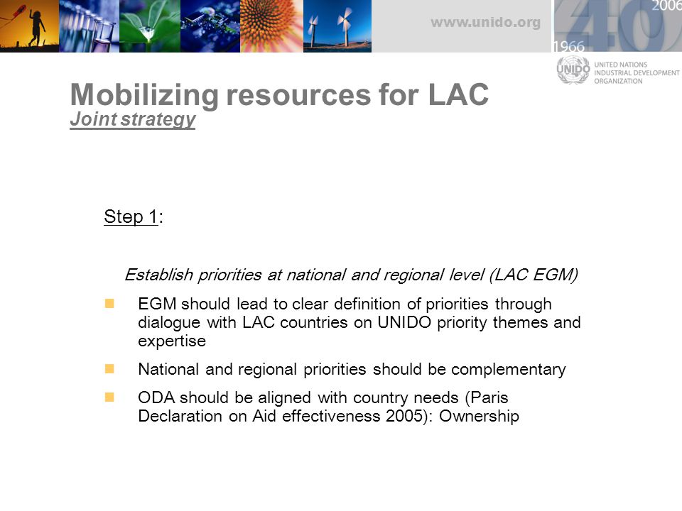 Mobilizing resources for LAC Joint strategy Step 1: Establish priorities at national and regional level (LAC EGM) EGM should lead to clear definition of priorities through dialogue with LAC countries on UNIDO priority themes and expertise National and regional priorities should be complementary ODA should be aligned with country needs (Paris Declaration on Aid effectiveness 2005): Ownership
