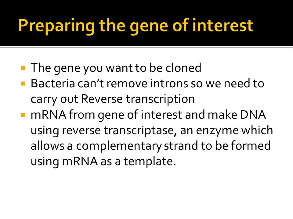  The gene you want to be cloned  Bacteria can’t remove introns so we need to carry out Reverse transcription  mRNA from gene of interest and make DNA using reverse transcriptase, an enzyme which allows a complementary strand to be formed using mRNA as a template.