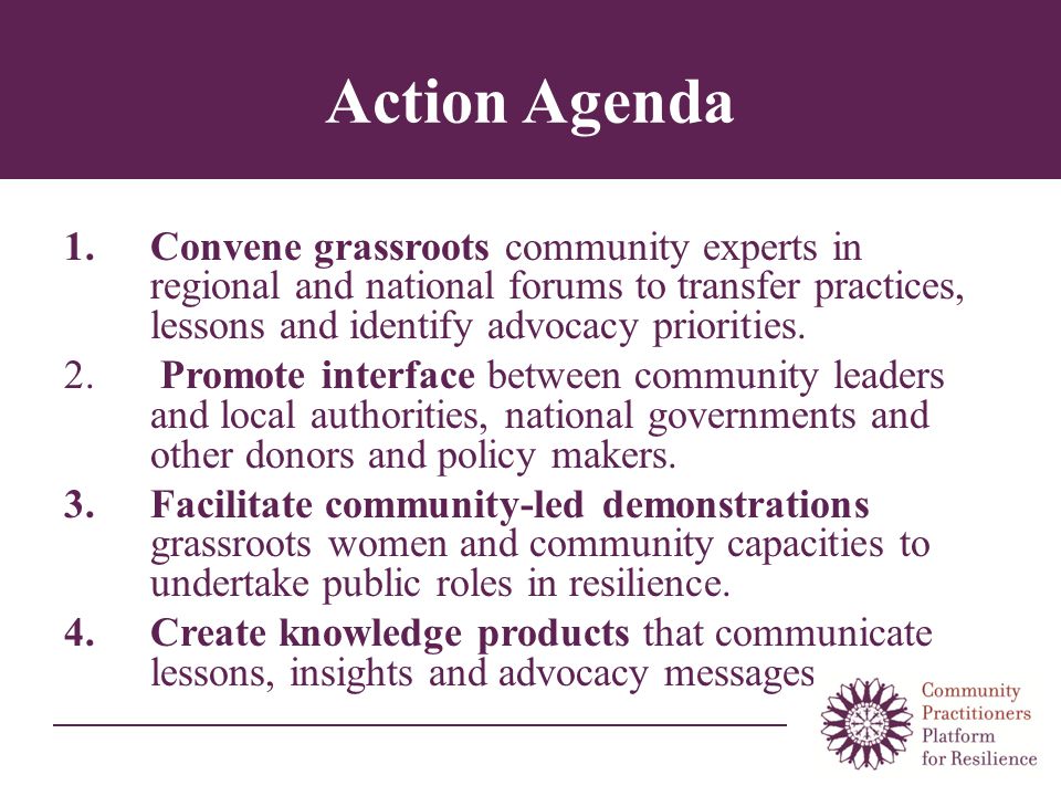 Action Agenda 1.Convene grassroots community experts in regional and national forums to transfer practices, lessons and identify advocacy priorities.