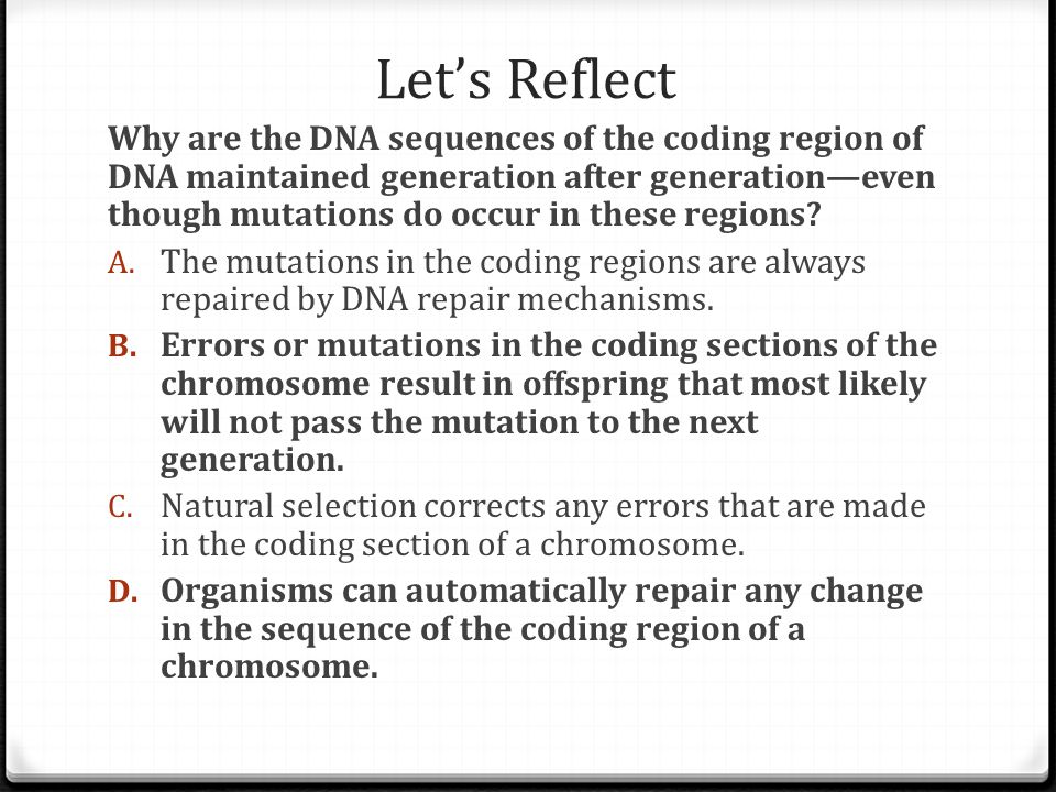 Let’s Reflect Why are the DNA sequences of the coding region of DNA maintained generation after generation—even though mutations do occur in these regions.