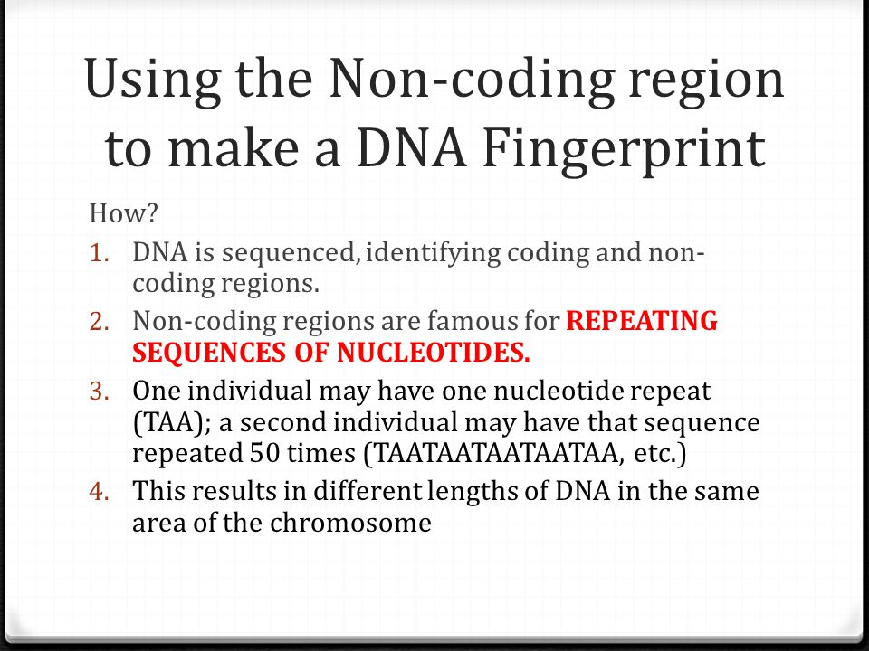 Using the Non-coding region to make a DNA Fingerprint How.