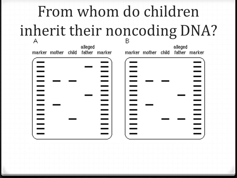 From whom do children inherit their noncoding DNA