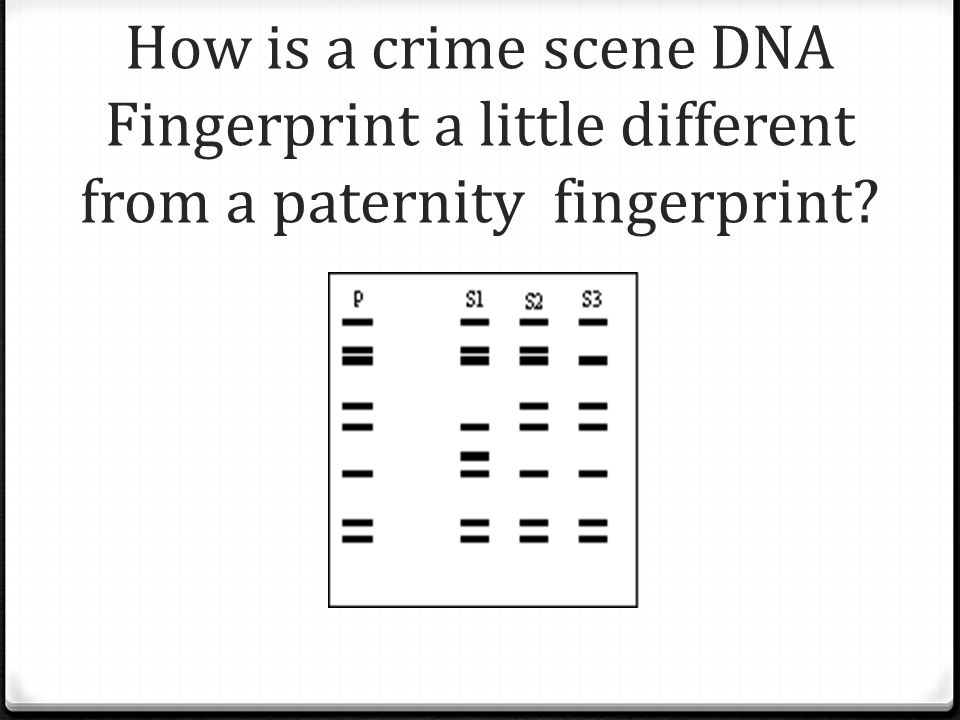 How is a crime scene DNA Fingerprint a little different from a paternity fingerprint