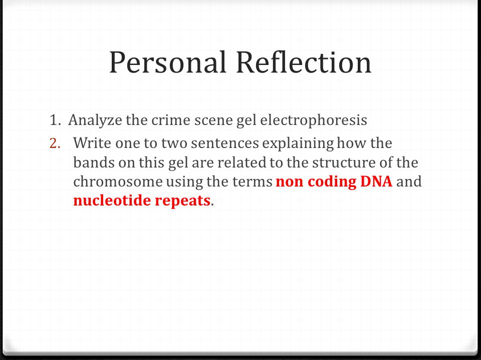 Personal Reflection 1. Analyze the crime scene gel electrophoresis 2.