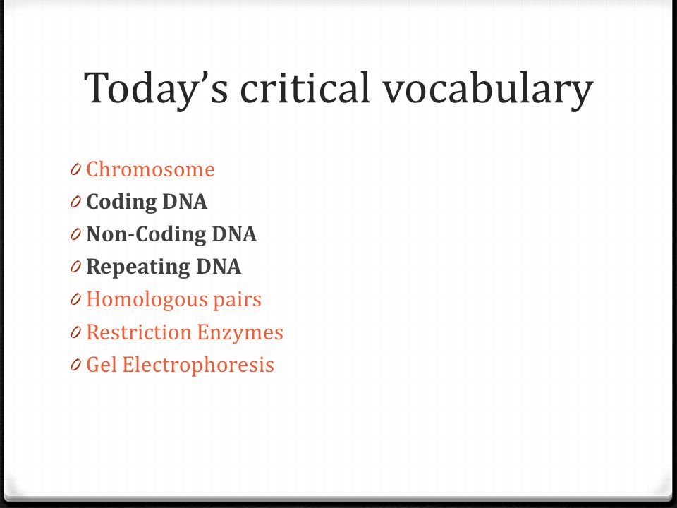 Today’s critical vocabulary 0 Chromosome 0 Coding DNA 0 Non-Coding DNA 0 Repeating DNA 0 Homologous pairs 0 Restriction Enzymes 0 Gel Electrophoresis