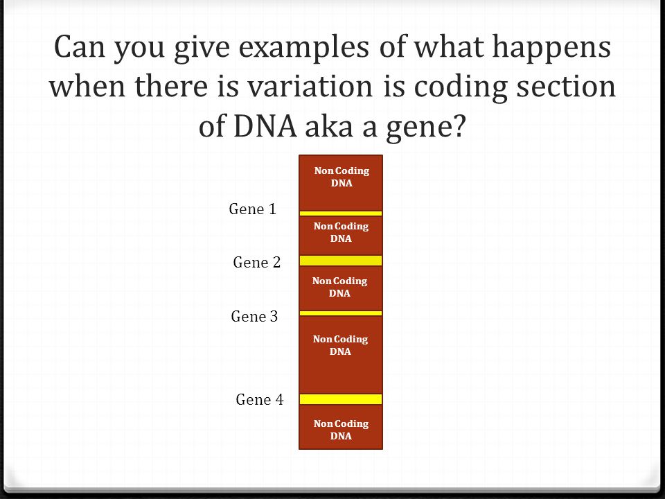 Can you give examples of what happens when there is variation is coding section of DNA aka a gene.