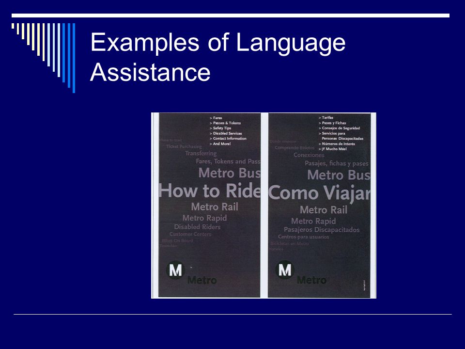 Examples of Language Assistance