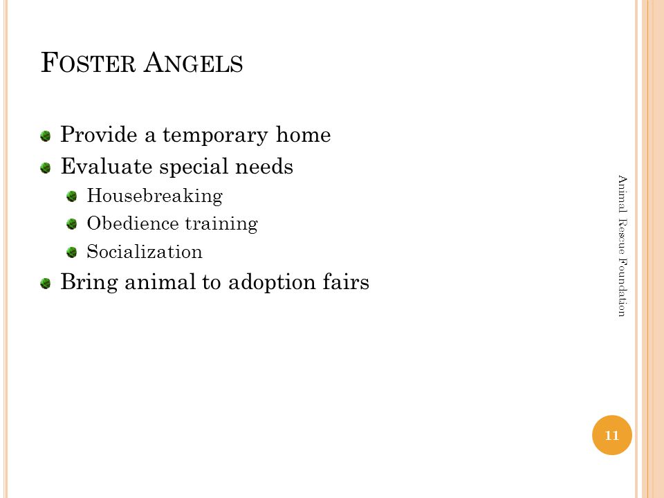 F OSTER A NGELS Provide a temporary home Evaluate special needs Housebreaking Obedience training Socialization Bring animal to adoption fairs 11 Animal Rescue Foundation
