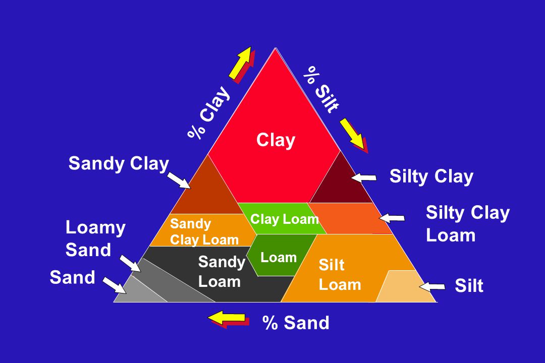 microorganism population-life in the soil       clay silty clay