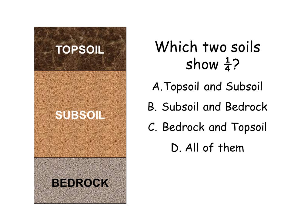 BEDROCK SUBSOIL TOPSOIL Which two soils show ¼. A.Topsoil and Subsoil B.