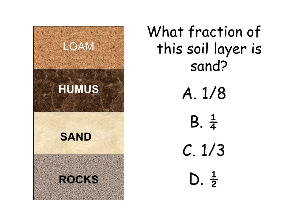 ROCKS SAND HUMUS What fraction of this soil layer is sand A. 1/8 B. ¼ C. 1/3 D. ½ LOAM SAND