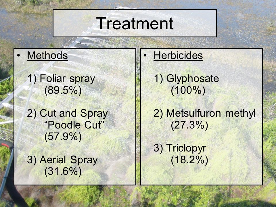 Treatment Methods 1) Foliar spray (89.5%) 2) Cut and Spray Poodle Cut (57.9%) 3) Aerial Spray (31.6%) Herbicides 1) Glyphosate (100%) 2) Metsulfuron methyl (27.3%) 3) Triclopyr (18.2%)
