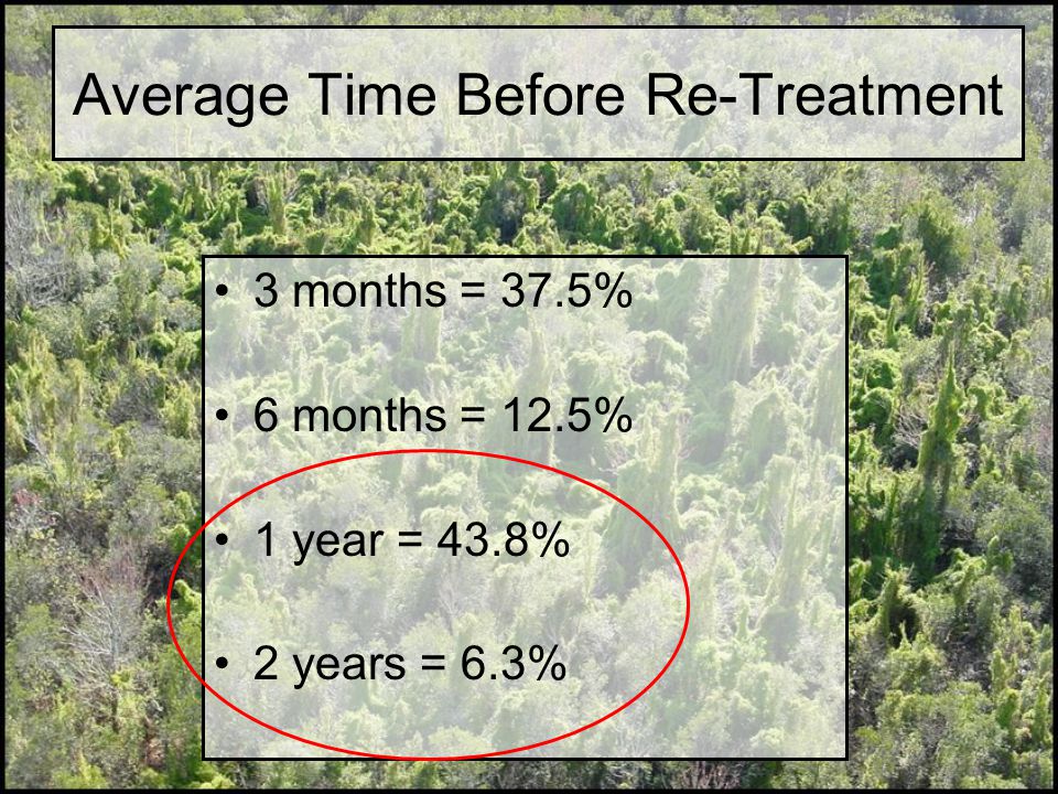Average Time Before Re-Treatment 3 months = 37.5% 6 months = 12.5% 1 year = 43.8% 2 years = 6.3%