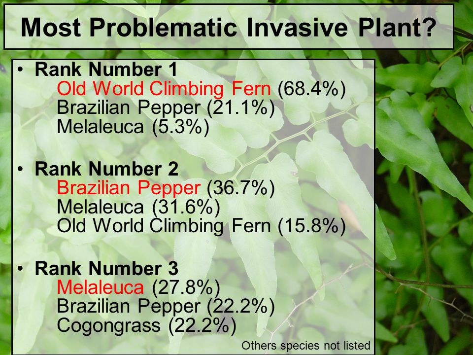 Most Problematic Invasive Plant.