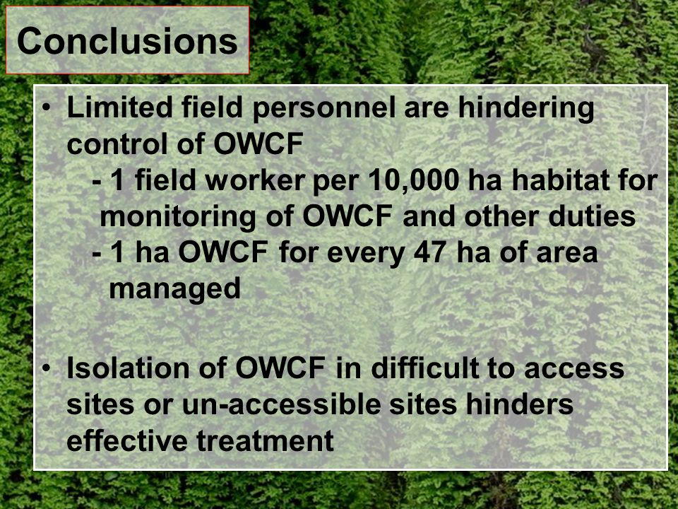 Conclusions Limited field personnel are hindering control of OWCF - 1 field worker per 10,000 ha habitat for monitoring of OWCF and other duties - 1 ha OWCF for every 47 ha of area managed Isolation of OWCF in difficult to access sites or un-accessible sites hinders effective treatment
