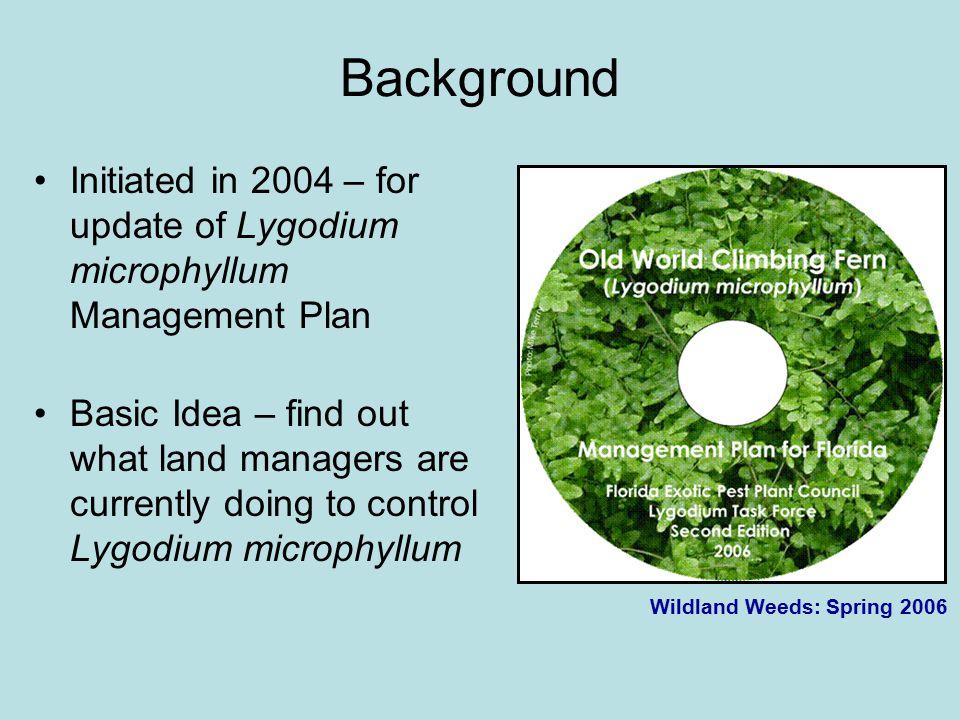 Background Initiated in 2004 – for update of Lygodium microphyllum Management Plan Basic Idea – find out what land managers are currently doing to control Lygodium microphyllum Wildland Weeds: Spring 2006