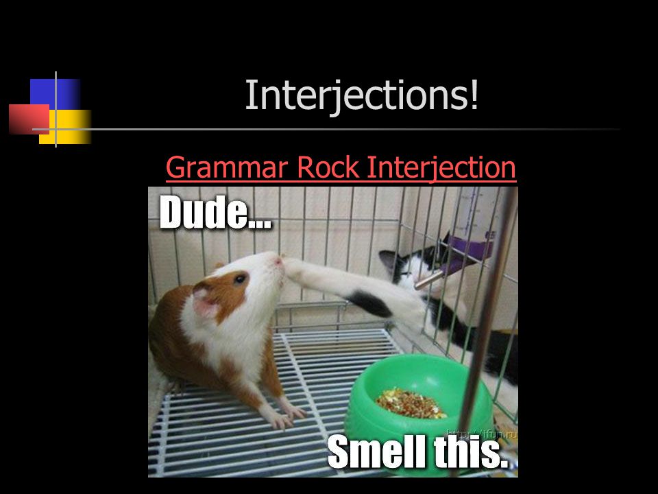 Interjections! Grammar Rock Interjection