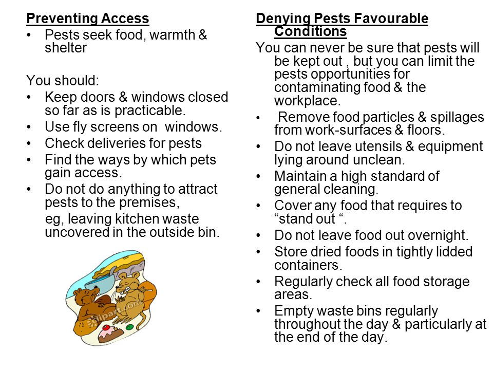 Preventing Access Pests seek food, warmth & shelter You should: Keep doors & windows closed so far as is practicable.