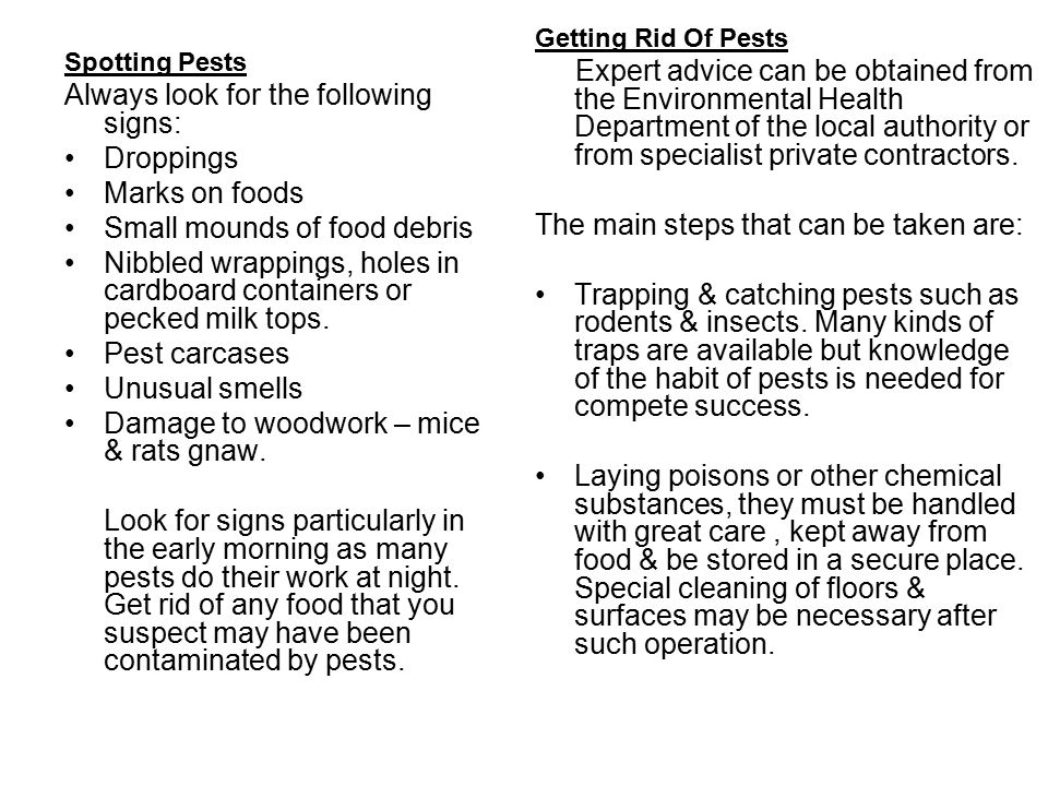Spotting Pests Always look for the following signs: Droppings Marks on foods Small mounds of food debris Nibbled wrappings, holes in cardboard containers or pecked milk tops.