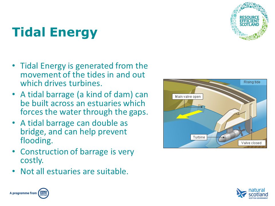 Tidal Energy Tidal Energy is generated from the movement of the tides in and out which drives turbines.