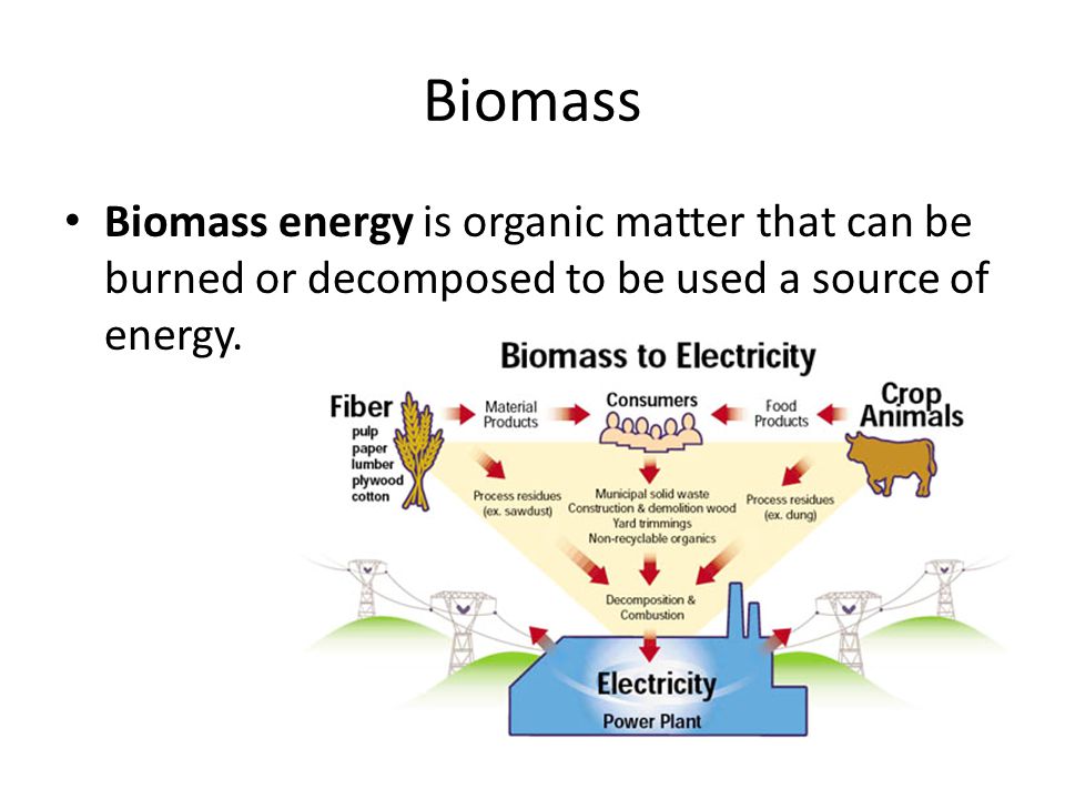 Biomass Biomass energy is organic matter that can be burned or decomposed to be used a source of energy.