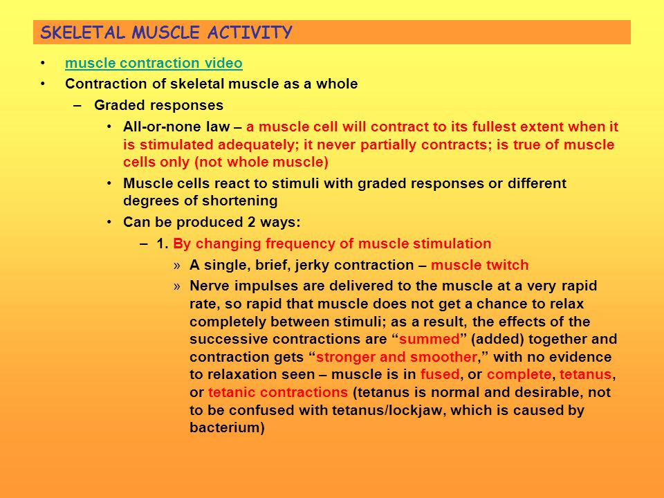unit 5 – muscular system. - ppt download unit 5 – muscular system. - ppt download, Muscles