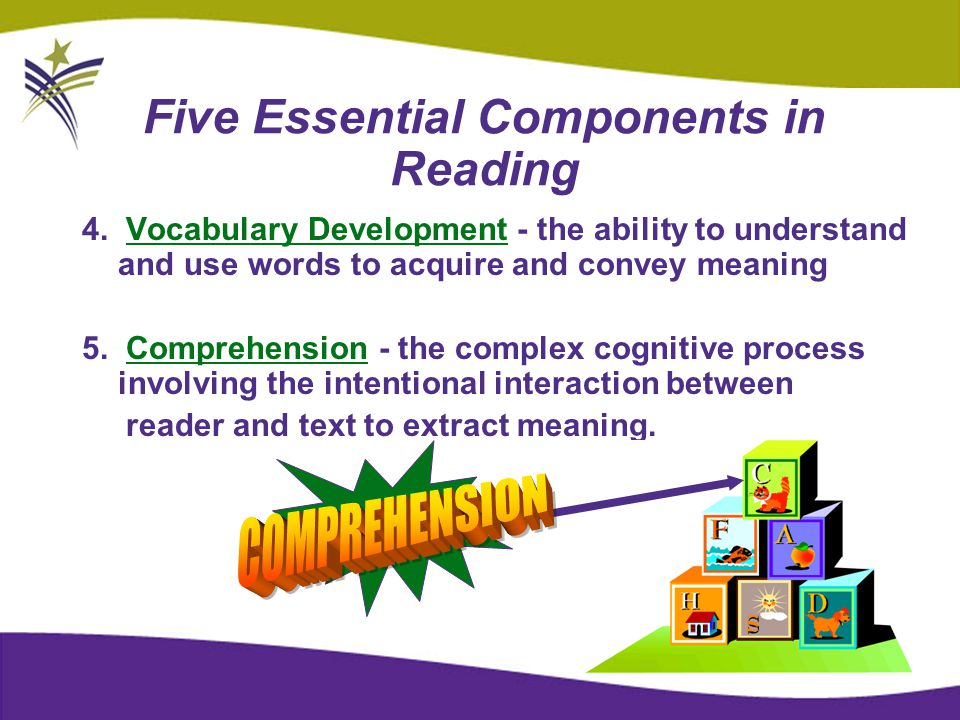 Five Essential Components in Reading 4.