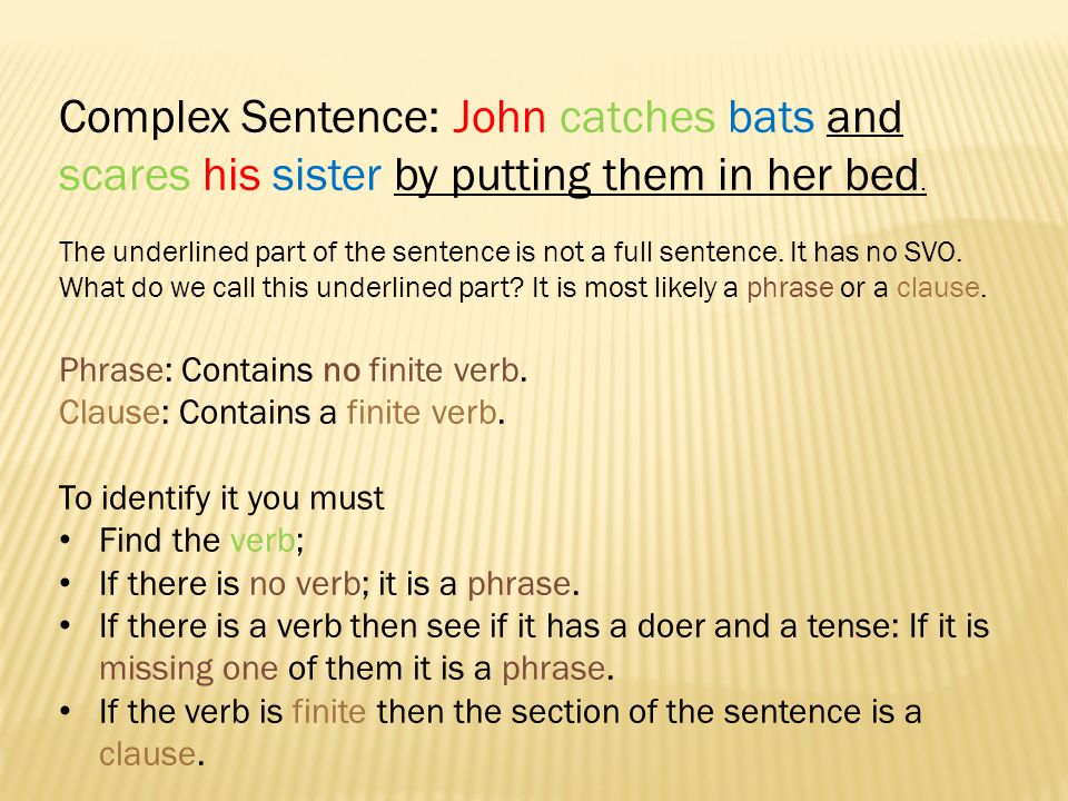 Complex Sentence: John catches bats and scares his sister by putting them in her bed.