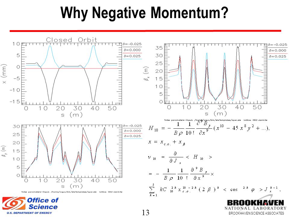 13 BROOKHAVEN SCIENCE ASSOCIATES Why Negative Momentum