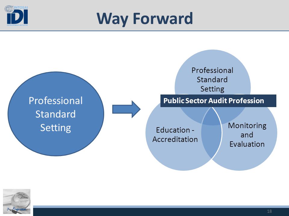 3i Programme Professional Standard Setting Monitoring and Evaluation Education - Accreditation Public Sector Audit Profession Way Forward 18