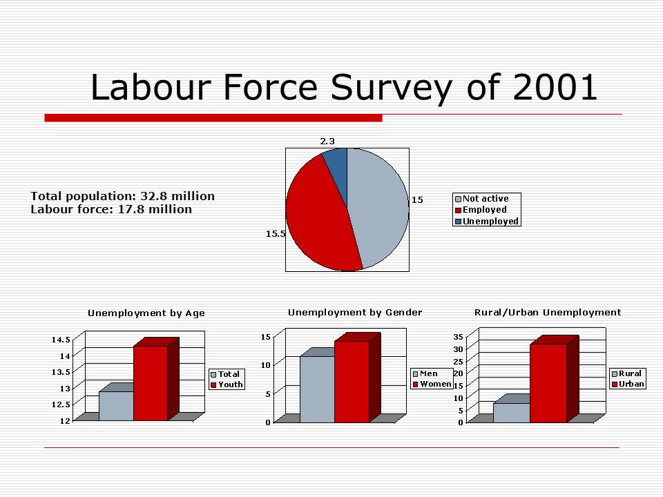 Labour Force Survey of 2001 Total population: 32.8 million Labour force: 17.8 million