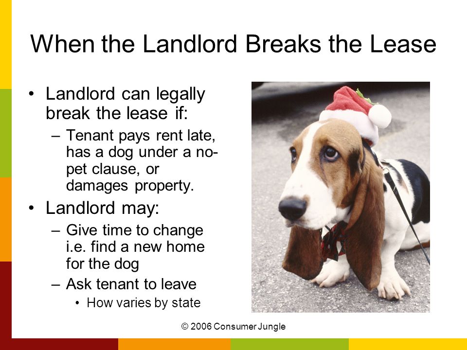 © 2006 Consumer Jungle When the Landlord Breaks the Lease Landlord can legally break the lease if: –Tenant pays rent late, has a dog under a no- pet clause, or damages property.