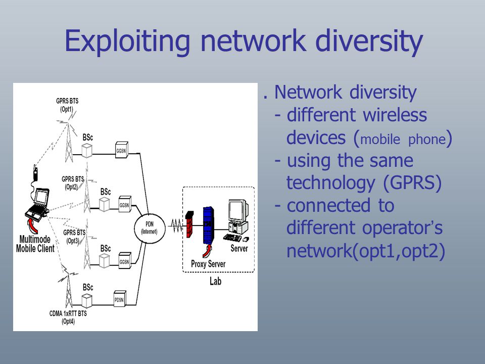 . Network diversity - different wireless devices ( mobile phone ) - using the same technology (GPRS) - connected to different operator ’ s network(opt1,opt2) Exploiting network diversity