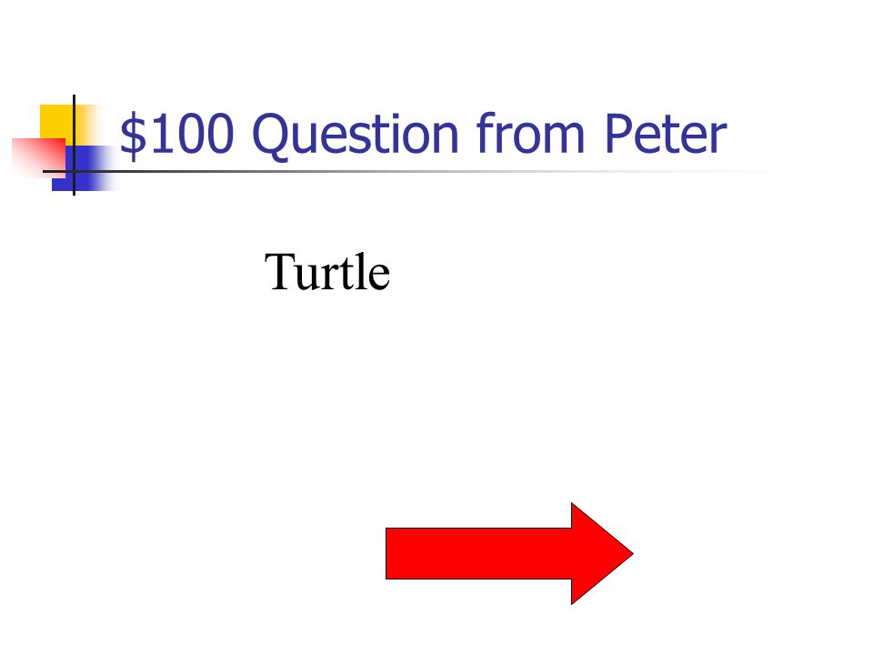 $500 Answer from Fudge What is Fudge’s pet myna bird’s name