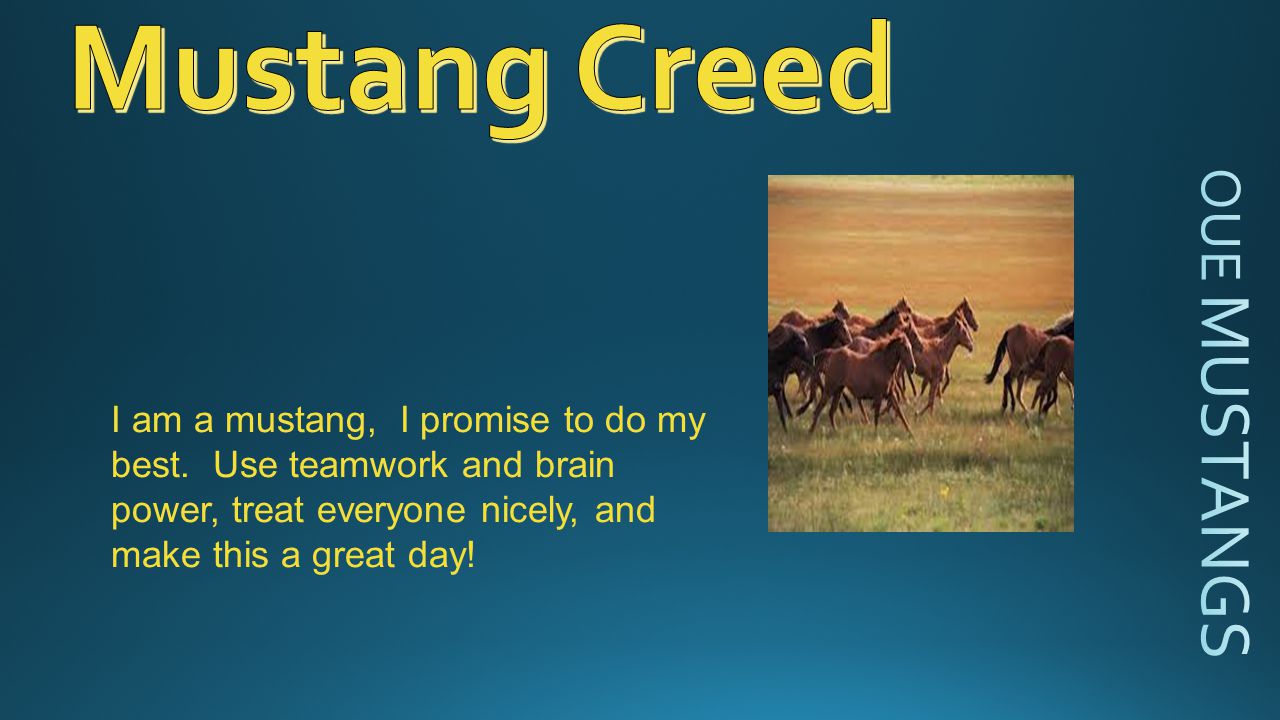 I am a mustang, I promise to do my best.